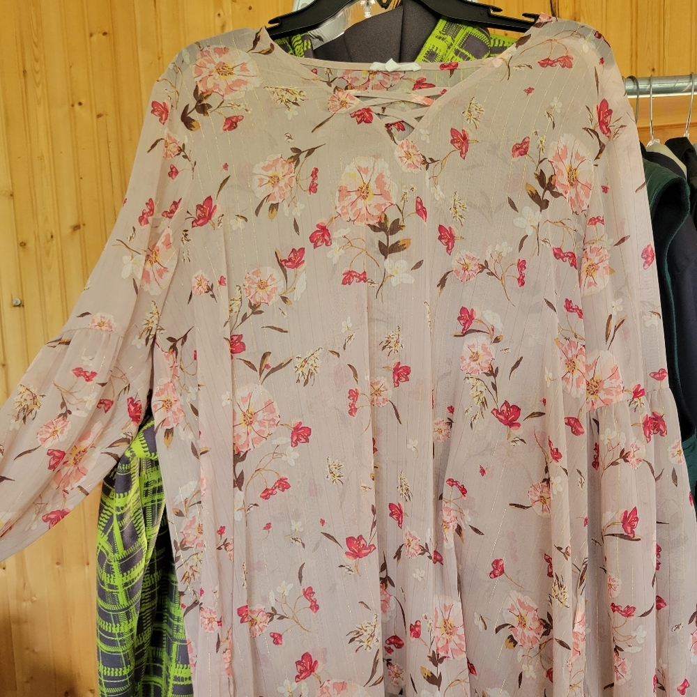 XL light pink floral sheer blouse